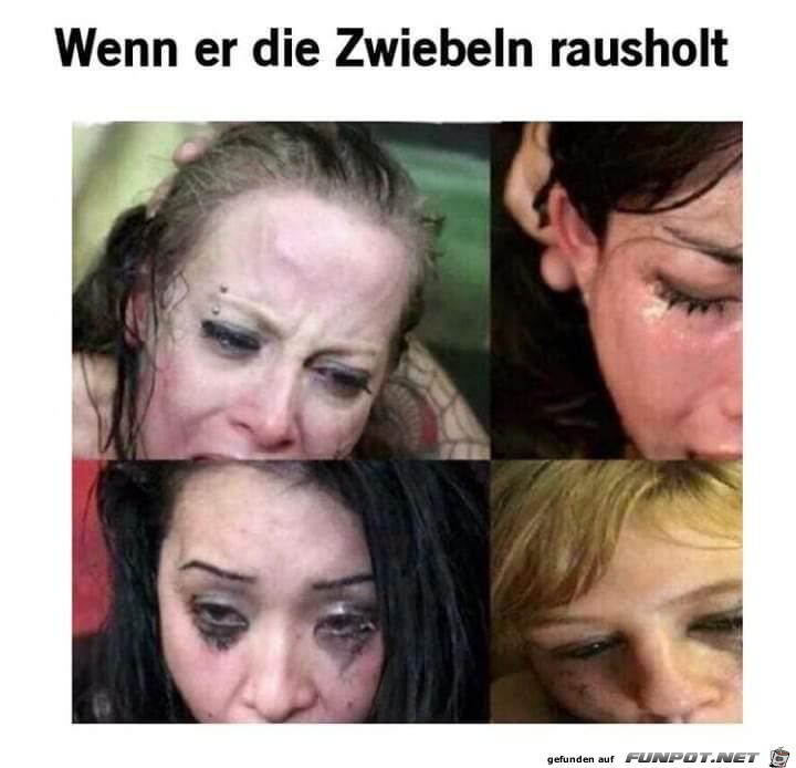 WhatsApp Image 2019-03-14 at 12.48.08 1 WhatsApp Image 2019-03-14 at 12.48.08 1