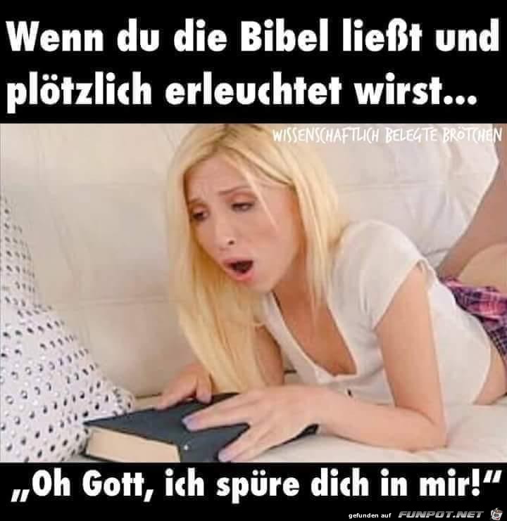 WhatsApp Image 2019-03-14 at 12.48.10 WhatsApp Image 2019-03-14 at 12.48.10