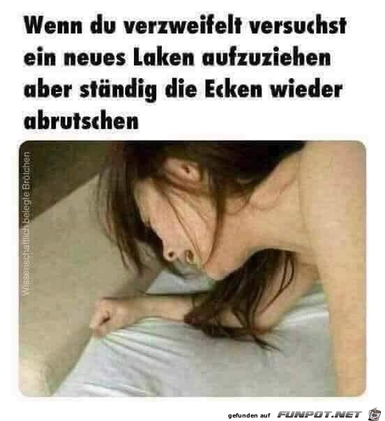 WhatsApp Image 2019-03-14 at 12.48.11 1 WhatsApp Image 2019-03-14 at 12.48.11 1
