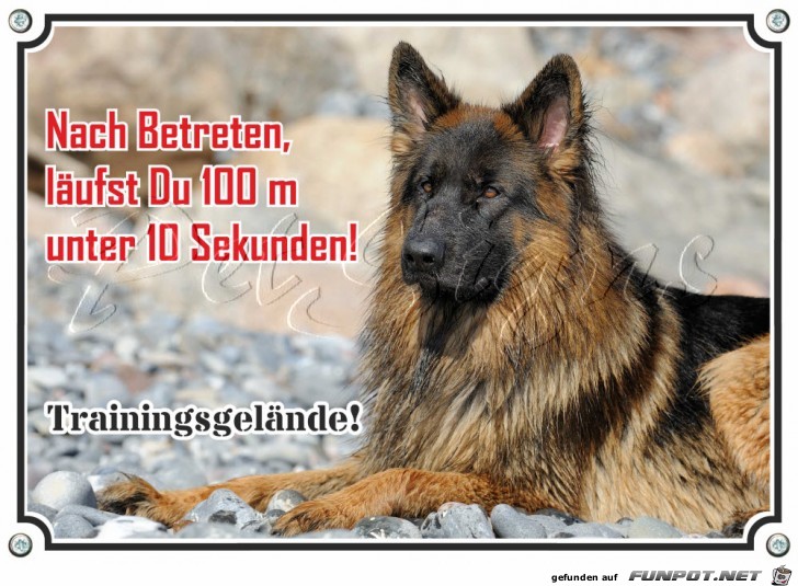 Hundeschild-deutscher-Schaeferhund-Metallschild-stabile-und-