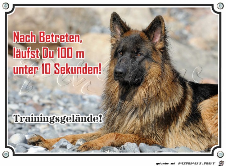 Hundeschild-deutscher-Schaeferhund-Metallschild-stabile-und- Hundeschild-deutscher-Schaeferhund-Metallschild-stabile-und-