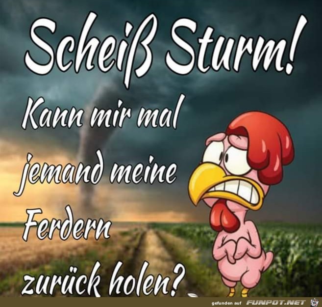 Wo sind meine Federn Wo sind meine Federn