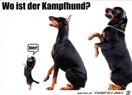 Wie nett Wie nett