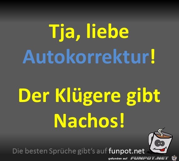 Nachos Nachos