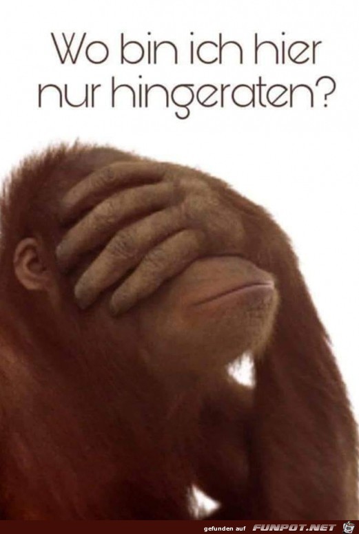 Hilfe Schutzmann Hilfe Schutzmann