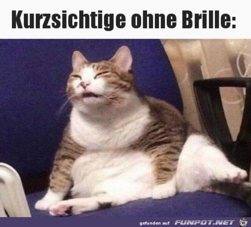 Immer so Immer so