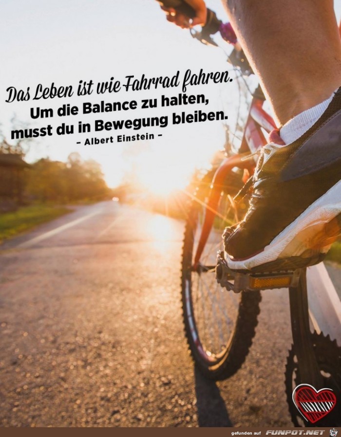 das Leben ist wie Fahhrad fahren das Leben ist wie Fahhrad fahren