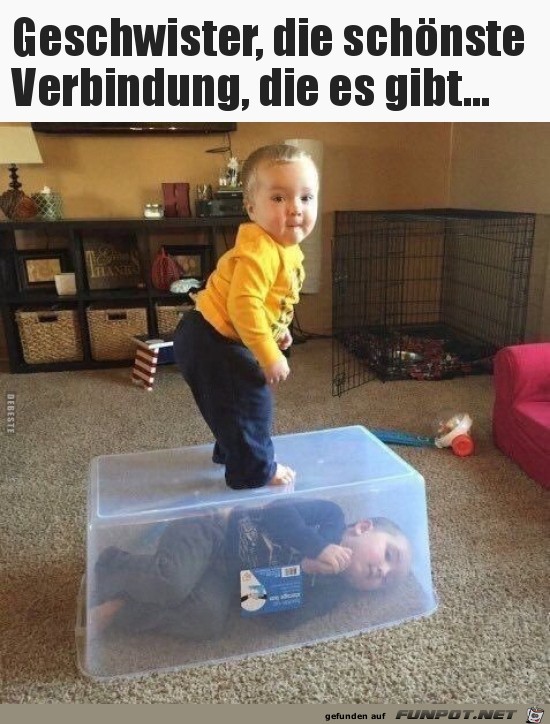 Geschwister, die schönste Verbindung.. Geschwister, die schönste Verbindung..