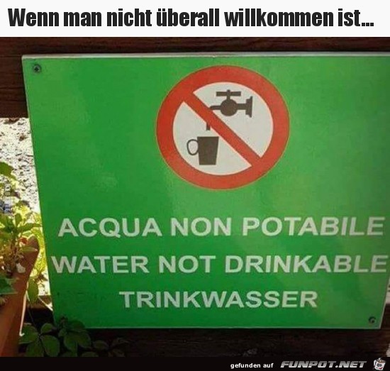Hoppla Hoppla