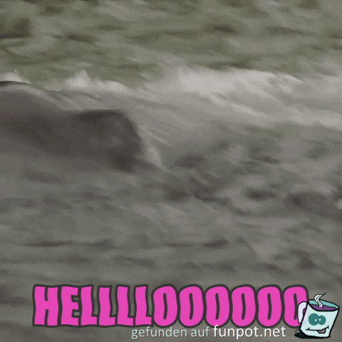 Hello Hello