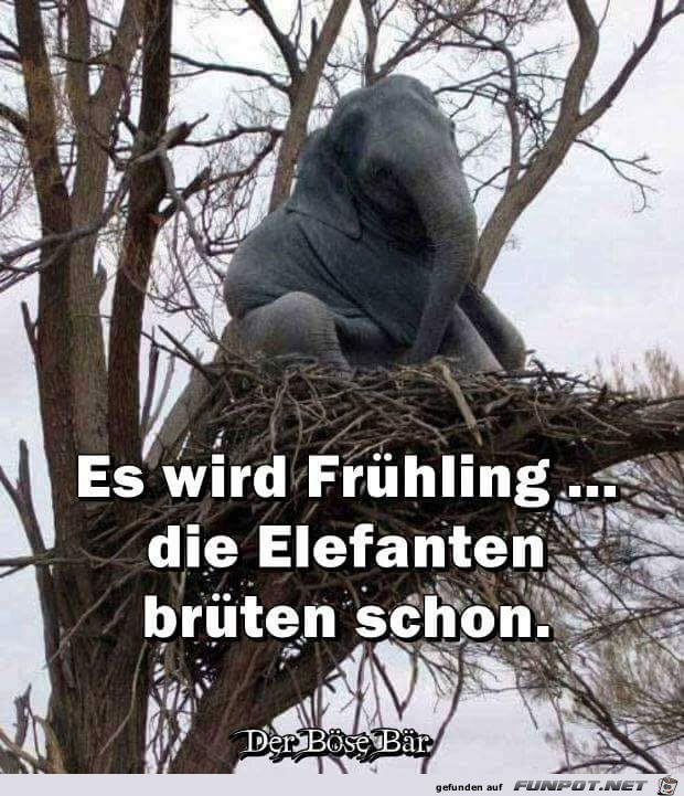 Es wird Frühling Es wird Frühling