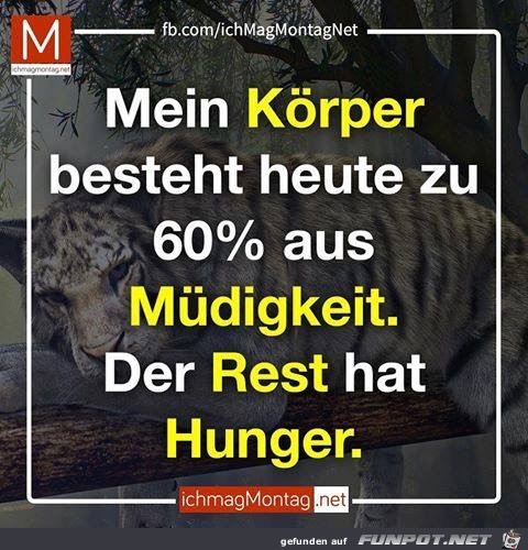mein koerper mein koerper