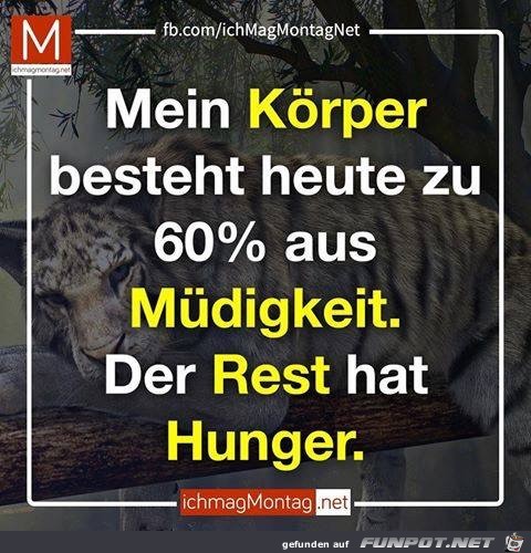 mein koerper