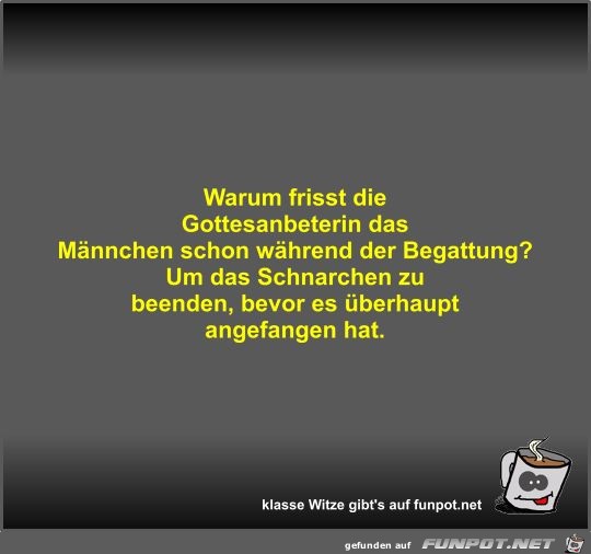 Warum frisst die Gottesanbeterin das Männchen schon während Warum frisst die Gottesanbeterin das Männchen schon während