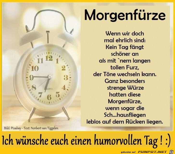 Morgenfrze 2019