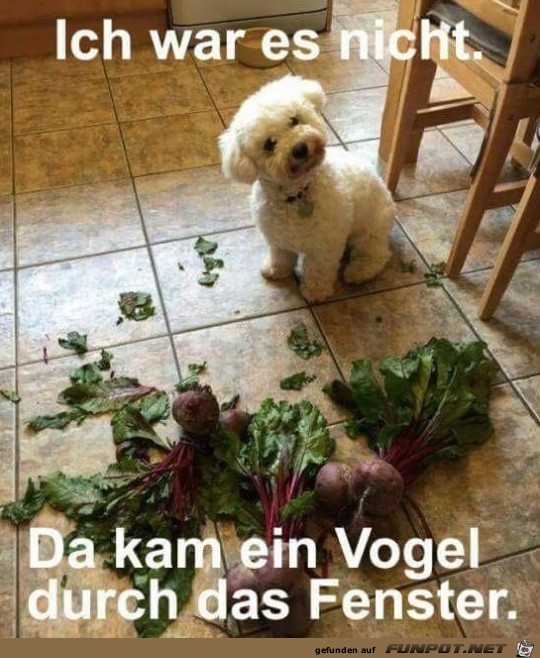 Ich war das nicht Ich war das nicht