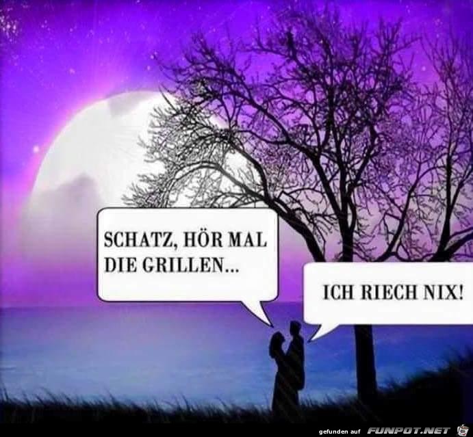 Die Grillen