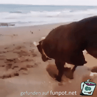 Spaß im Sand Spaß im Sand