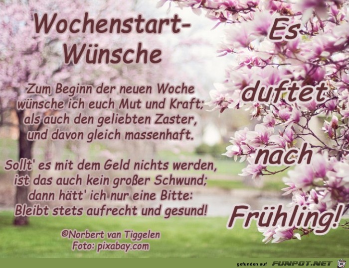 Wochenstart- Wnsche Frhling 2019