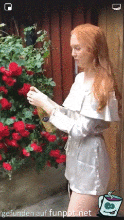 Flasche öffnen Flasche öffnen