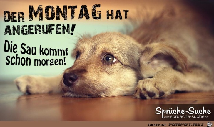 Der Montag hat angerufen Der Montag hat angerufen
