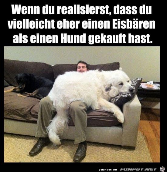Wenn du realisierst Wenn du realisierst