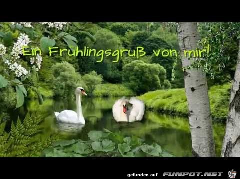 Fruehlingsgruss Fruehlingsgruss