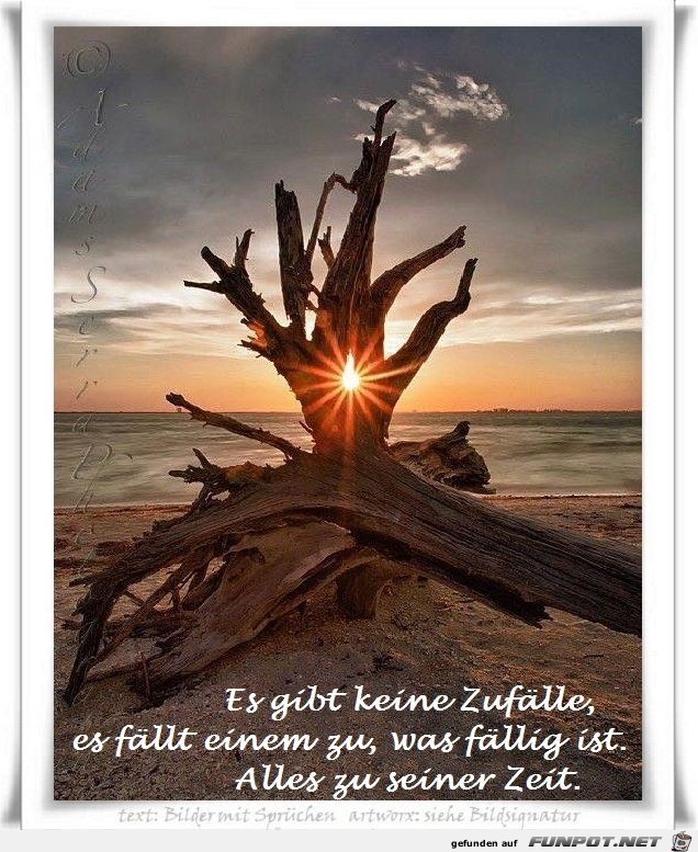 Es gibt keine Zufaelle Es gibt keine Zufaelle