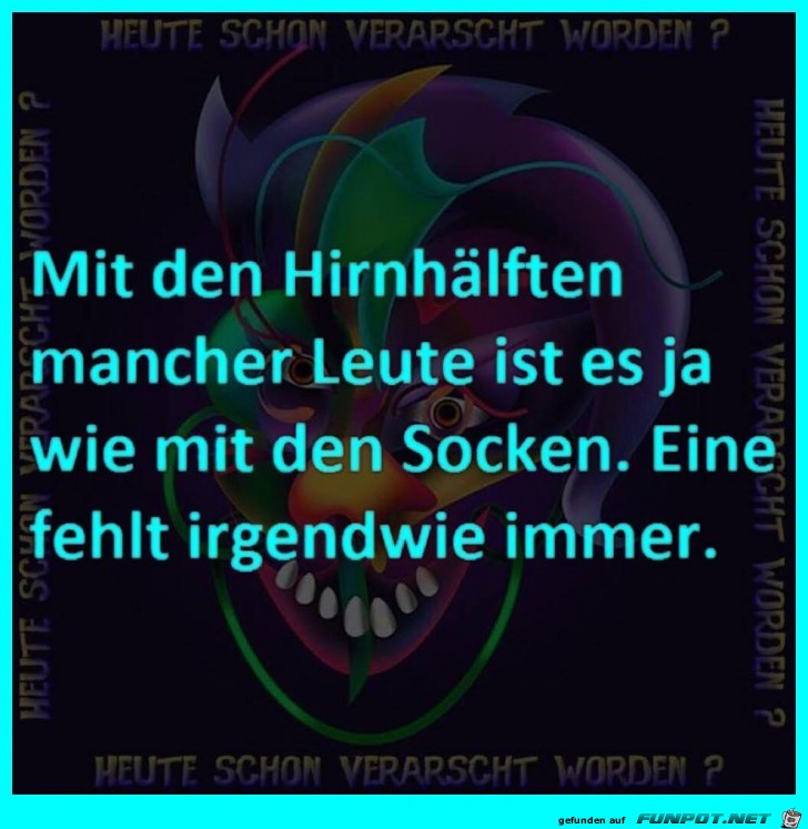 Hirnhälften Hirnhälften