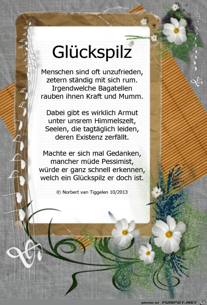 Glückspilz 2019 Glückspilz 2019