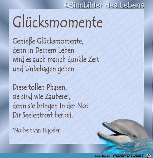 Glücksmomente 2019 Glücksmomente 2019
