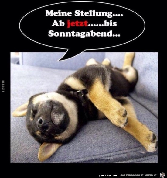 meine Stellung.. ab jetzt... meine Stellung.. ab jetzt...