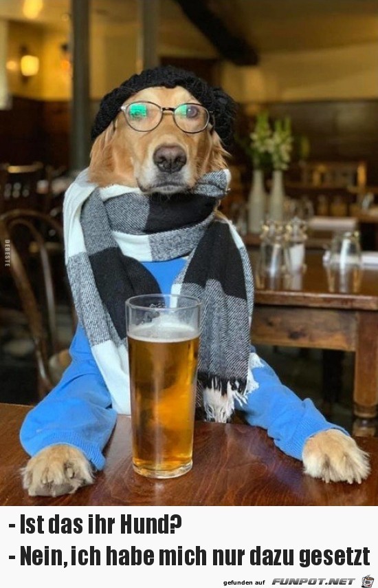 ist das ihr Hund?.. ist das ihr Hund?..