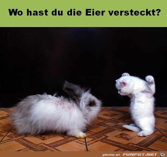 Eier versteckt Eier versteckt