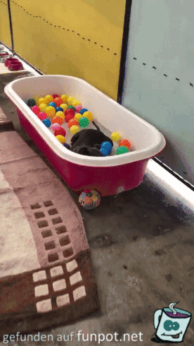 Das ist mal ein Bällebad Das ist mal ein Bällebad