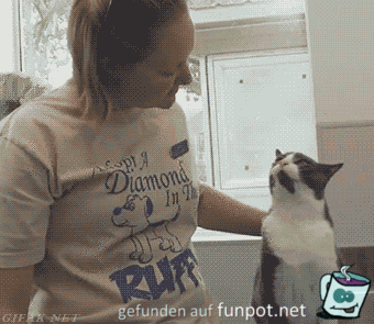 Gut Trainiert Gut Trainiert