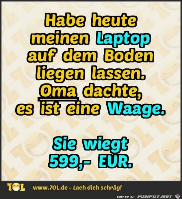 Oma und mein Laptop