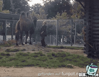 Die Freude ist groß Die Freude ist groß