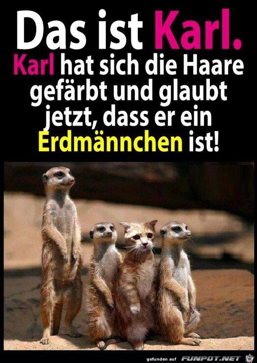 Das ist Karl Das ist Karl