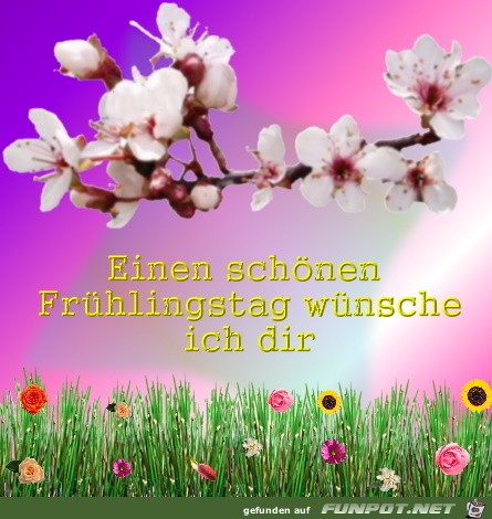 Schoenen Fruehlingstag