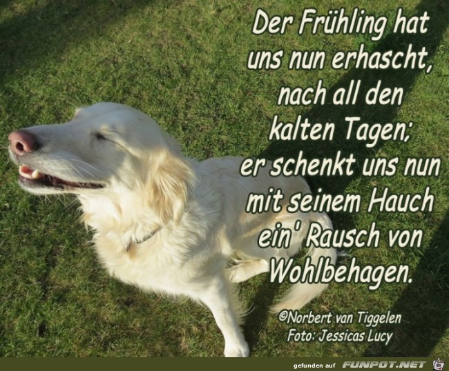 Frhlingserhaschung 2019