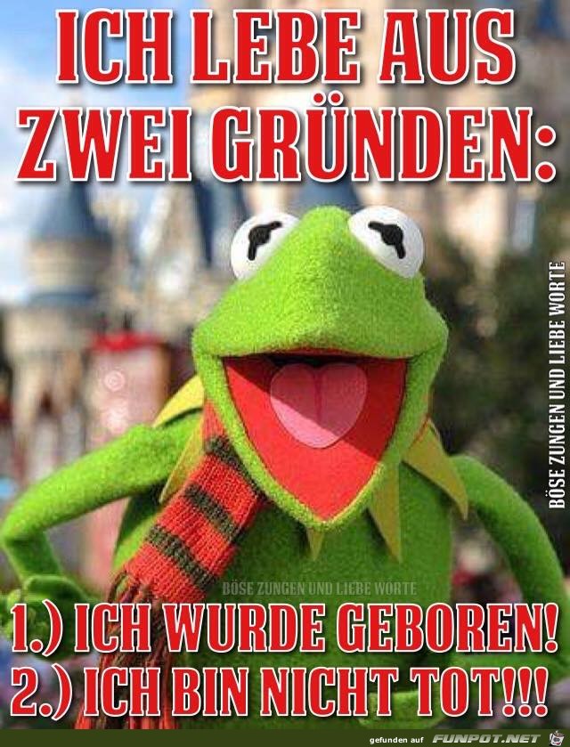 Ich lebe Ich lebe