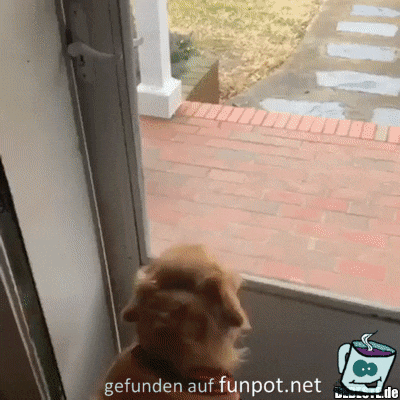 Trag mich rein Trag mich rein