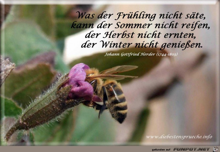 Was der Fruehling nicht saete