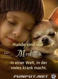 Hunde sind wie Medizin Hunde sind wie Medizin