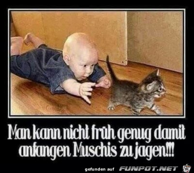 Muschis jagen Muschis jagen