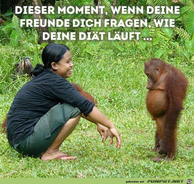 Wenn die Diät schlecht läuft... Wenn die Diät schlecht läuft...
