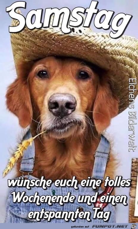 wuensche euch ein tolles wochenende wuensche euch ein tolles wochenende
