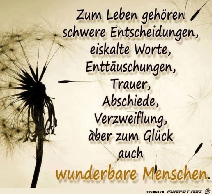 zum Leben gehoeren zum Leben gehoeren