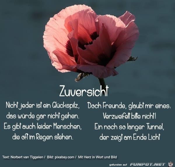 zuversicht zuversicht